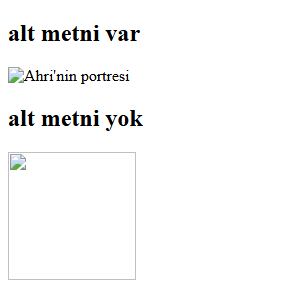 Üstte 'alt metni var' başlığının altında kırık resim simgesi ve 'Ahri'nin portresi' yazısı. Altta 'alt metni yok' başlığının altında içinde yalnız kırık resim simgesi olan boş bir kare çerçeve.