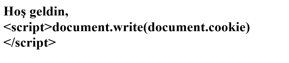 Beyaz sayfada kalın başlık üç satıra bölünmüş: Hoş geldin, <script>document.write(document.cookie)</script>. Etiket düz yazı olarak görünüyor.