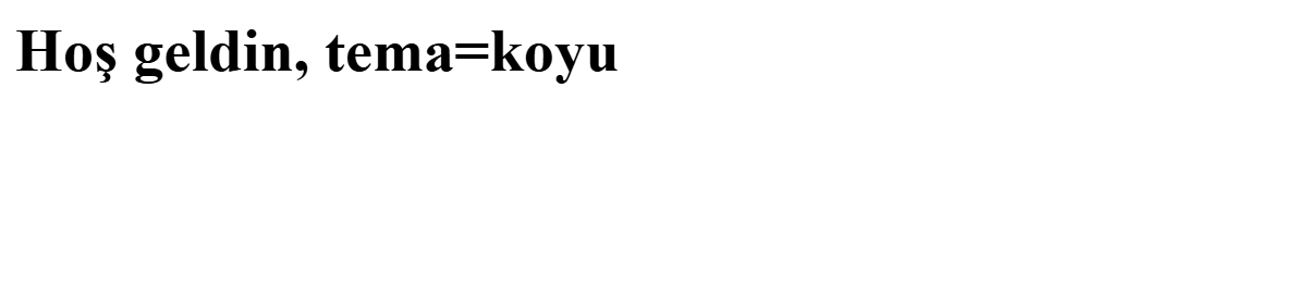 Beyaz sayfada kalın başlık: Hoş geldin, tema=koyu. Betik çalışmış, document.cookie yalnız tema çerezini döndürmüş.